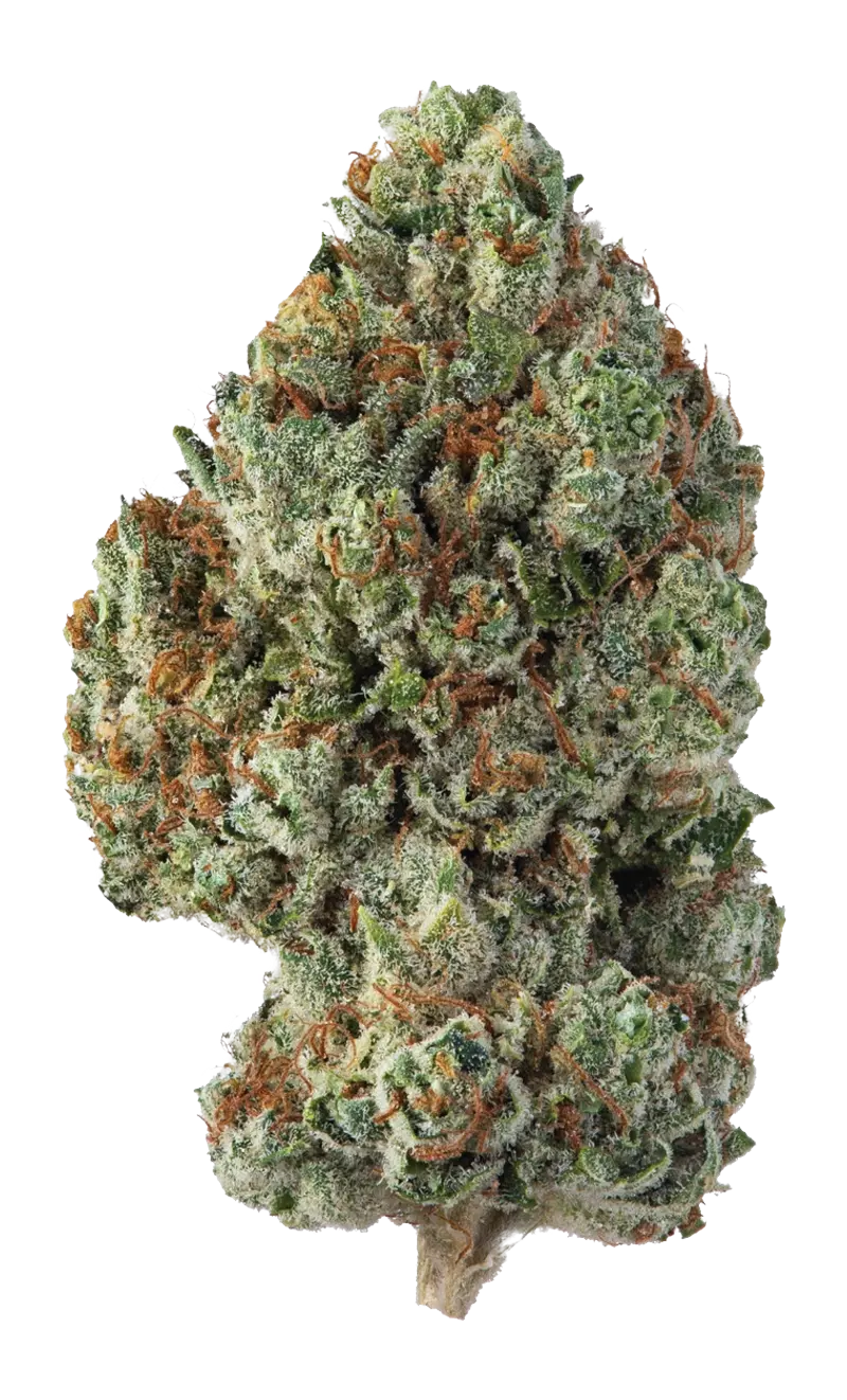Khalifa Kush cannabis flower